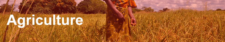 rub titre Agriculture