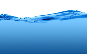 Le Togo a pris part à la conférence de Bonn sur l’eau
