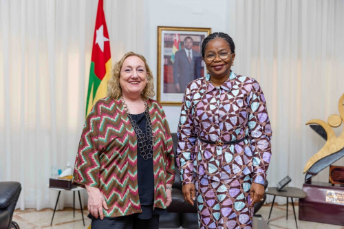 Stabilité au Sahel : le Togo et l’UE se concertent