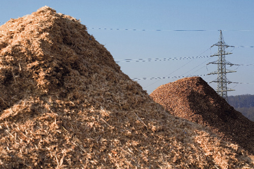 L’exportation des déchets issus de la biomasse désormais encadrée