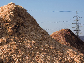 L’exportation des déchets issus de la biomasse désormais encadrée