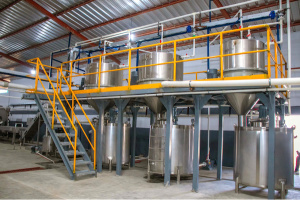 Le Togo expose sa vision agro-industrielle cette semaine à Paris