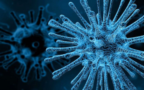 La Cedeao se prépare pour une réponse commune et coordonnée au Coronavirus