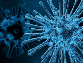 La Cedeao se prépare pour une réponse commune et coordonnée au Coronavirus