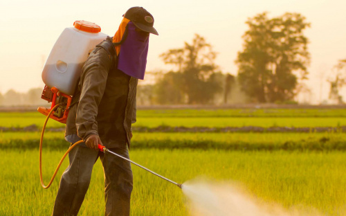 Agriculture : le Togo lance un projet pour mieux gérer les pesticides