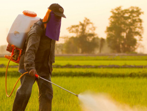 Agriculture : le Togo lance un projet pour mieux gérer les pesticides
