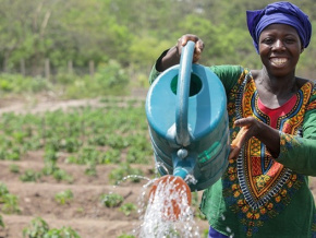 Mara&icirc;chage : les producteurs b&eacute;n&eacute;ficient d'un appui du ProMIFA