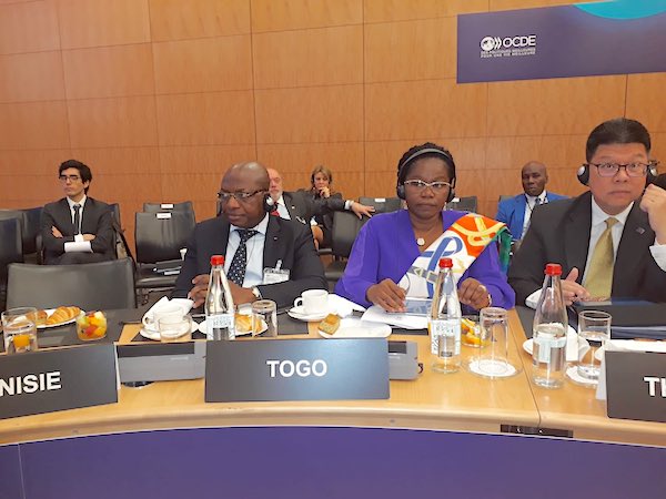 Le Togo a pris part à la réunion du comité directeur de l’OCDE