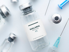 sante-le-togo-introduit-le-vaccin-contre-le-paludisme-dans-son-programme-de-prevention