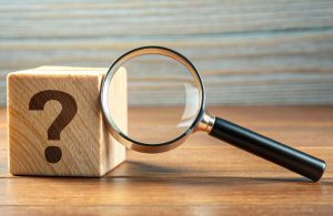 Enl&egrave;vements et disparitions de jeunes signal&eacute;s : une commission sp&eacute;ciale d&rsquo;enqu&ecirc;te &agrave; l&rsquo;&oelig;uvre