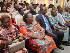 Environnement : &agrave; Lom&eacute;, des experts r&eacute;fl&eacute;chissent &agrave; la communication environnementale