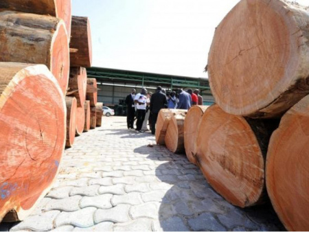 Actualisation des donn&eacute;es foresti&egrave;res : les acteurs appel&eacute;s &agrave; fournir leurs documents d&rsquo;autorisation