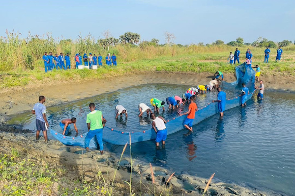 L’IFAD Aquaculture recrute pour la classe de seconde