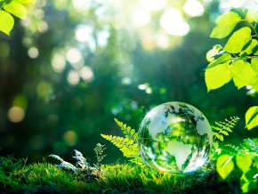 Coup d&#039;envoi de la Quinzaine de l&#039;environnement