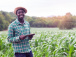 Agriculture : le ministère recrute 300 techniciens