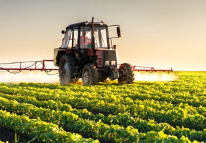 Quelles sont les opportunités d’investissement dans l’agrobusiness au Togo ?