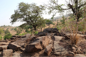 Le Togo va restaurer ses terres dégradées