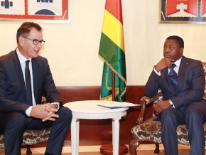 Photo : Faure Gnassingbé en entretien avec Gerd Müller, ministre allemand de la Coopération. 