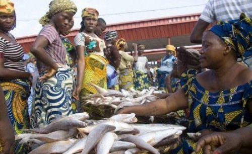 L’importation illégale de poissons en provenance du Bénin coûte au Nigéria 9 milliards de nairas chaque année