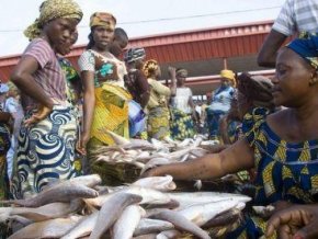 L’importation illégale de poissons en provenance du Bénin coûte au Nigéria 9 milliards de nairas chaque année
