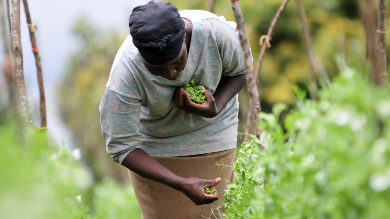 agriculture-vers-une-meilleure-resilience-face-aux-aleas-climatiques