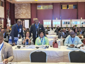 Assemblées parlementaires des pays ACP/UE : le Togo prend part aux travaux