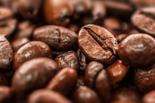 Les op&eacute;rateurs &eacute;conomiques de la fili&egrave;re caf&eacute;-cacao invit&eacute;s &agrave; s&rsquo;enregistrer avant le 03 septembre