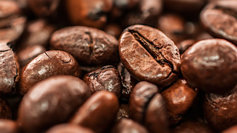 Les opérateurs économiques de la filière café-cacao invités à s’enregistrer avant le 03 septembre