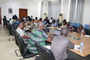 Agriculture : le Togo actualise ses bases de donn&eacute;es