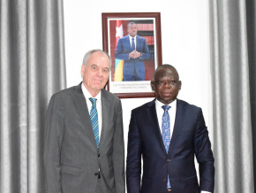Santé : le Togo et l’Allemagne font le point sur les projets en cours