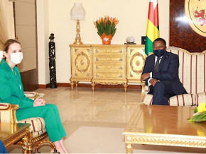 Neuf nouveaux ambassadeurs accrédités au Togo