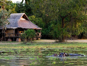 Un site écotouristique bientôt à Akebou