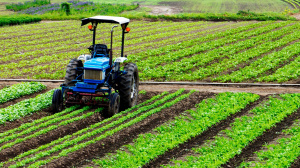 Financement : un partenariat État – BOA – SUNU BANK en faveur des agripreneurs
