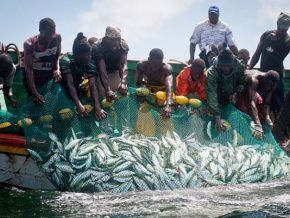 Le Togo va ratifier la convention sur les subventions à la pêche