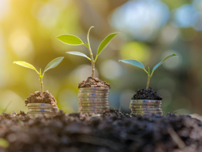 Finance climat : les experts de la Cedeao en conclave à Lomé