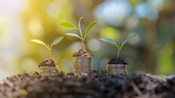 Finance climat : les experts de la Cedeao en conclave à Lomé