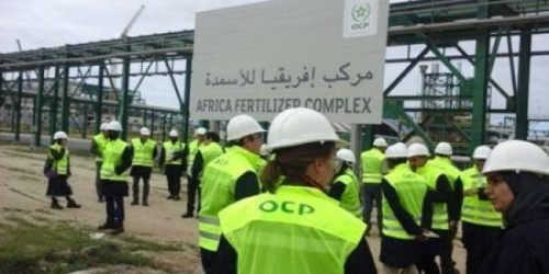 Le Maroc et le Nigéria signent deux accords bilatéraux dans le domaine agricole