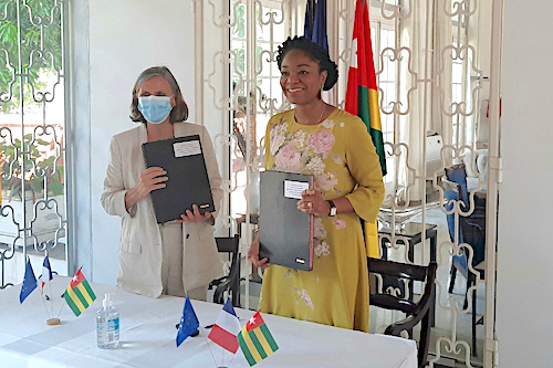 Diaspora : des talents bientôt au service du Togo