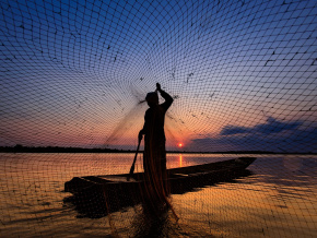 Pêche : début de la trêve sur le Lac Nangbéto