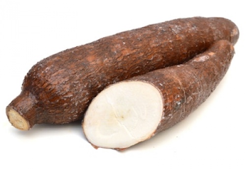 Développement de la filière manioc : une délégation de l’IITA venue préparer le Togo à un appui technique