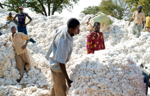 Togo : ces progr&egrave;s agricoles de la d&eacute;cennie