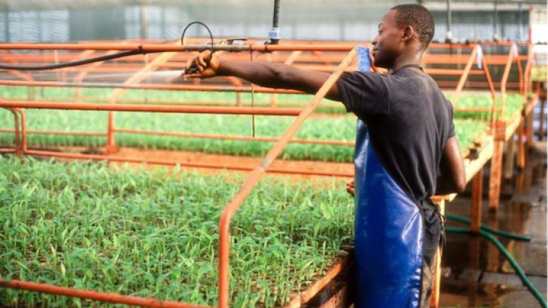 Déjà 200 000 emplois créés sous le PND (Christian Trimua)