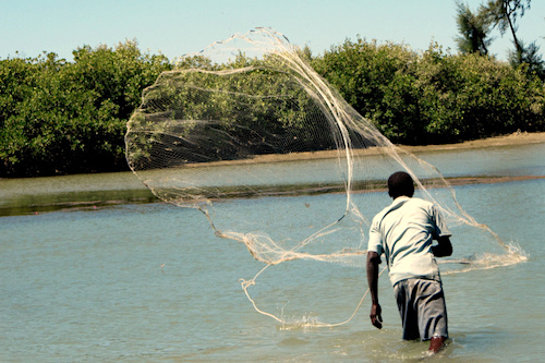 Au Togo, l&#039;usage des filets de pêche similaires aux moustiquaires est interdit