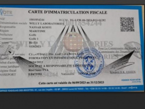 impots-suspension-annoncee-des-cartes-d-immatriculation-fiscale