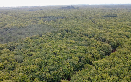 Environnement : le gouvernement recrute 400 fonctionnaires