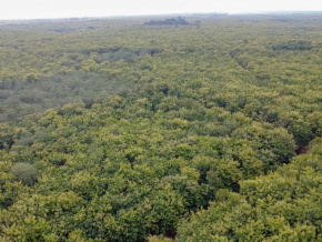 Environnement : le gouvernement recrute 400 fonctionnaires