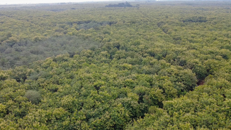 Environnement : le gouvernement recrute 400 fonctionnaires