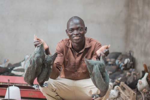 &Eacute;levage : la production animale en nette progression