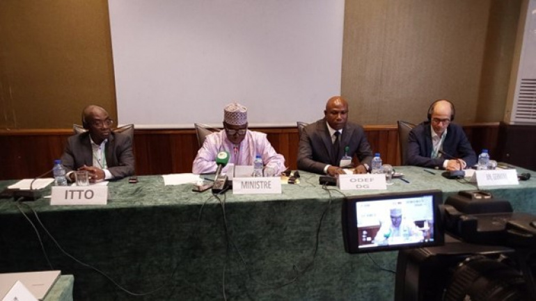 protection-des-bois-tropicaux-le-togo-reaffirme-son-engagement