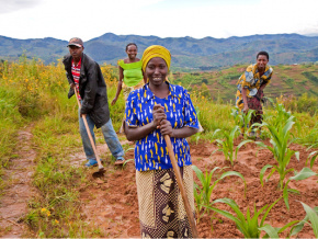 Le Togo bénéficie de 5 millions $ de la BAD pour soutenir les producteurs agricoles
